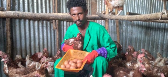 Beminet collecting eggs at his poultry farm.